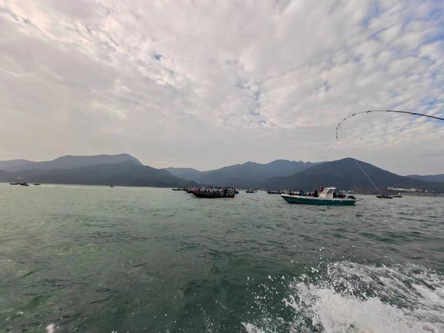 大亚湾|2023首钓,大亚湾难觅花滑