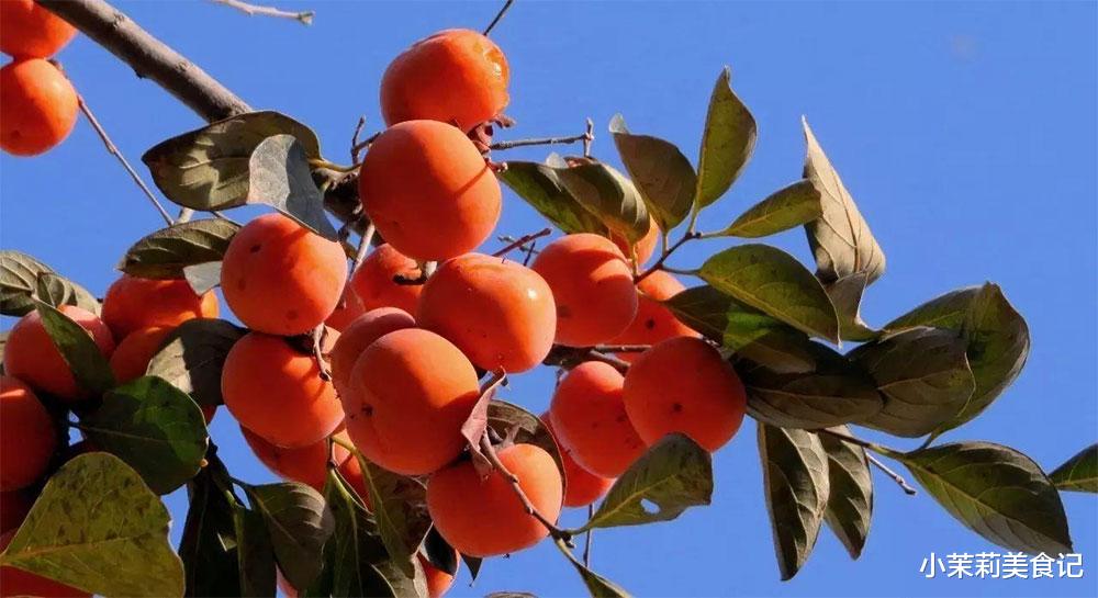 柿子|柿子的“死对头”，提醒：二者万不可同吃，吃柿子的禁忌要了解