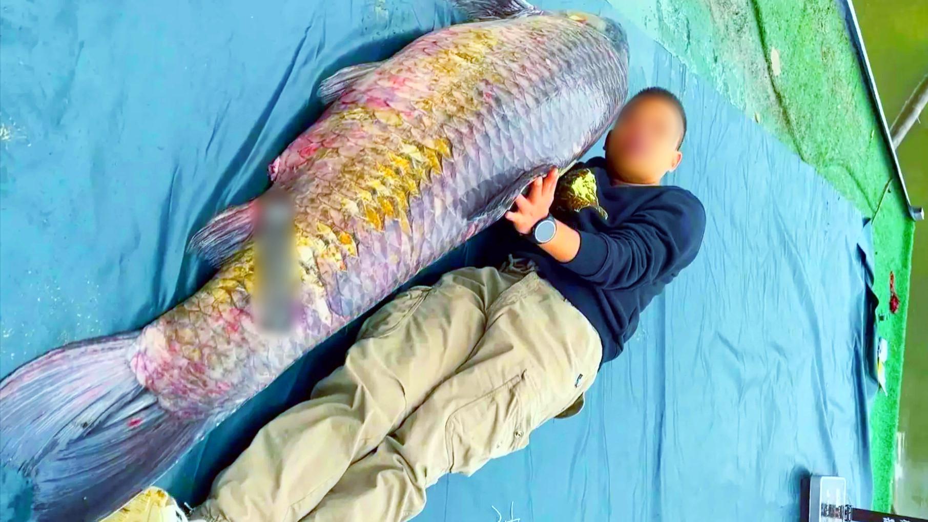 六旬大爷罕见钓获“青鱼王”，1.73米长重达136斤，卖了58000元