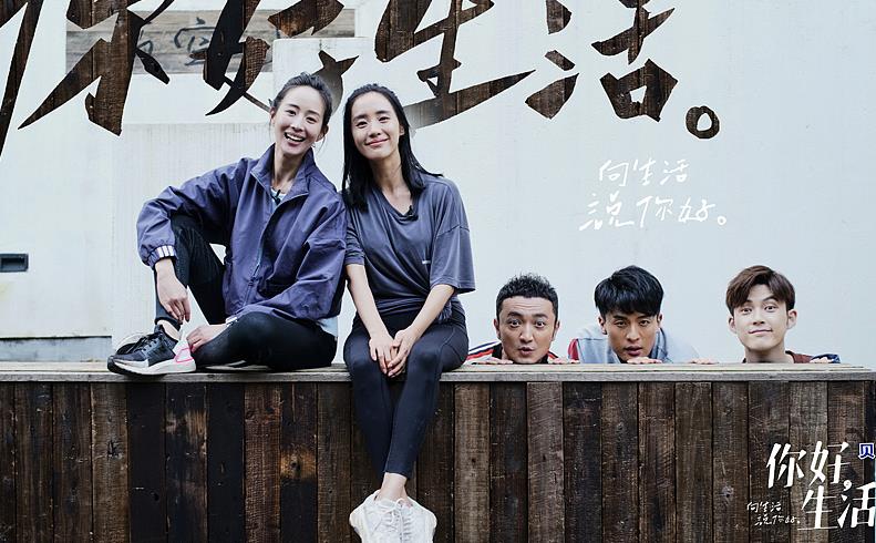 综艺节目|中国综艺节目能否在国际市场上获得成功？