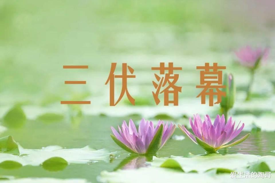 排骨|明天是“出伏日”，再忙别忘了吃4样，老传统寓意好，轻松度秋！