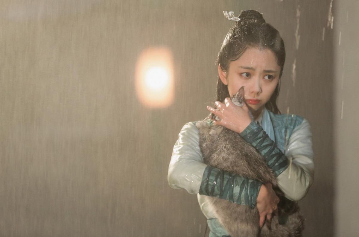 |又一新剧未播先火，获央视点名预热，女主成亮点，有望成爆款