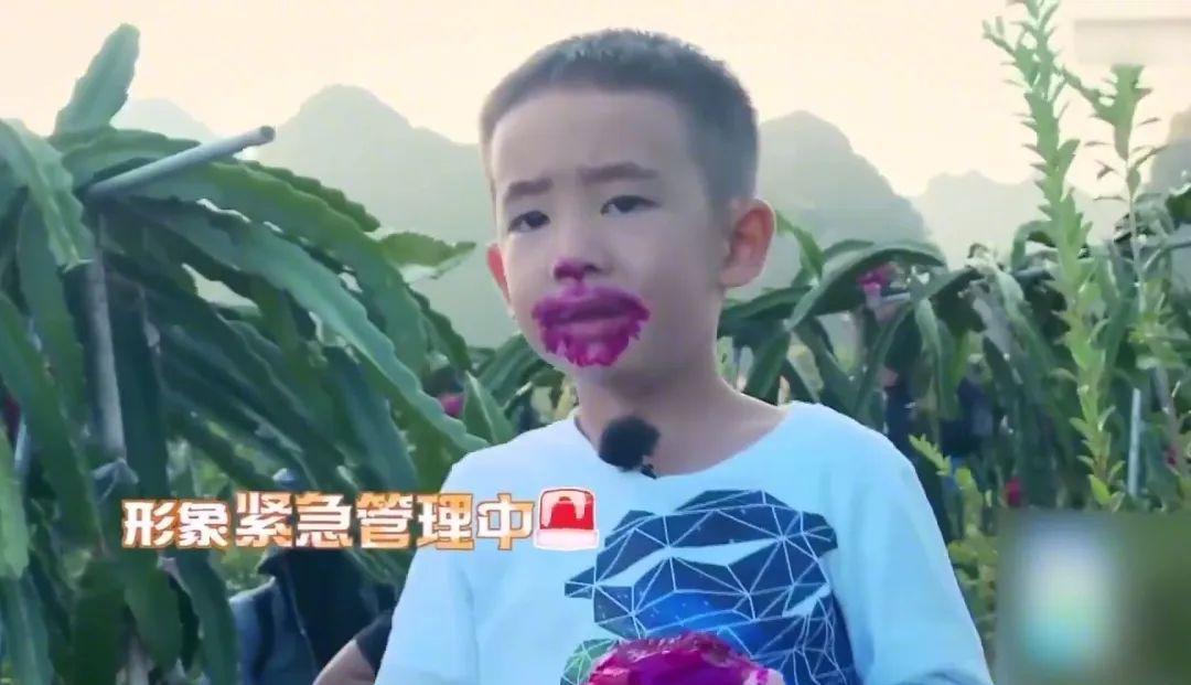 吴尊|6年过去,《爸去哪5》4家差距明显:孩子大变样