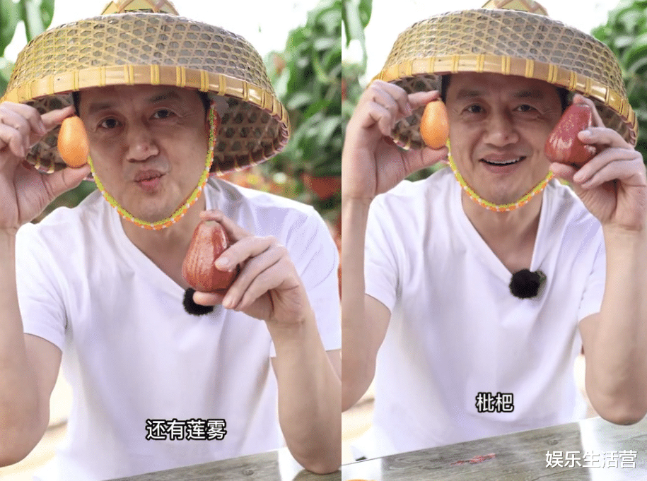 李亚鹏|离谱！李亚鹏将枇杷认成莲雾，自嘲没见过世面，高知家庭这水平？