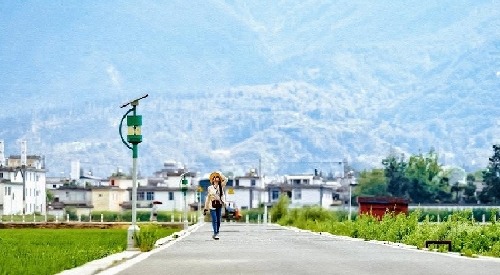 演唱会|《去有风的地方》,全员互相治愈,让观众身临其境