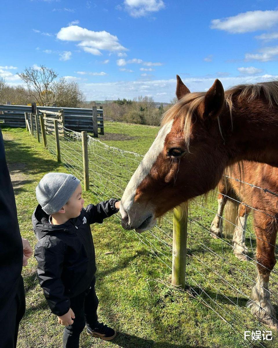 梁靖琪|梁靖琪夫妇带两个儿子去老公的外国家乡 一家四口亲近大自然