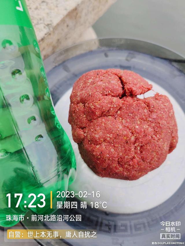 鲤鱼|给鱼尝尝肥宅快乐水，前有花河豚后有靓鲤鱼