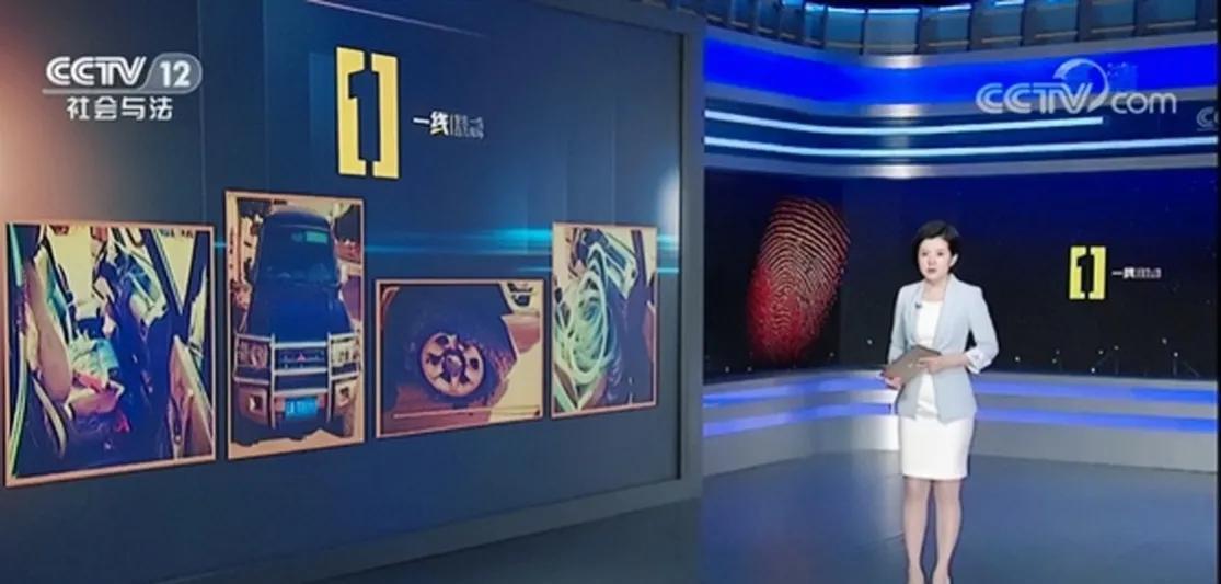 路晨|路晨:难得一见的央视美人,因主持《一线》而深受大众喜欢