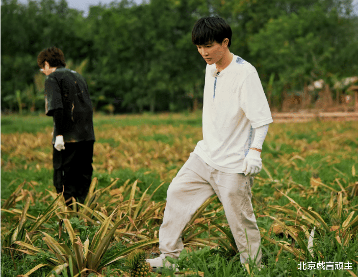 周深|向往的生活7：路透不断，原班人马强势回归，劳模周深呼声登顶！