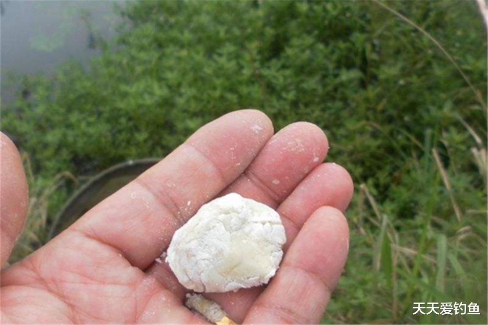 鲫鱼|进入夏天，鲫鱼这样钓才对路子，板鲫连竿不是难事