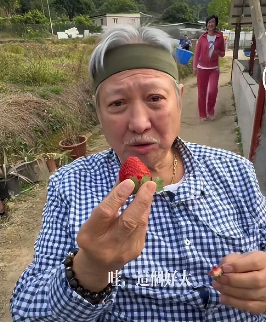 洪家班|“洪家班”成员晚年现状唏嘘,3位大佬已逝,狄威已成老爷爷