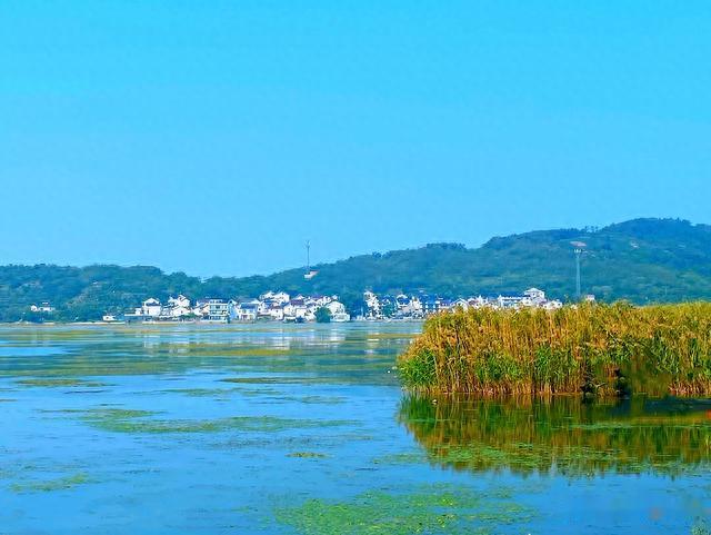 苏州|藏在太湖中的小岛，就像世外桃源一般，岛上盛产名茶碧螺春!