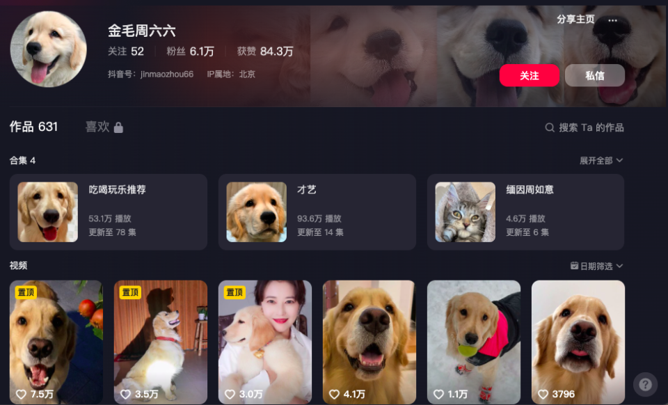 周海媚送别典礼悄然落幕：亲友见证，“毛孩子们”亦将妥善安置