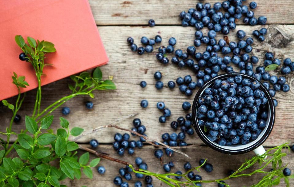 蓝莓|常吃蓝莓的人,最后怎么样了?6个好处或“不请自来”,了解一下