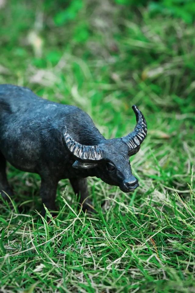 邮票|不只手镯！乌鸡翡翠雕牛，别有风味~