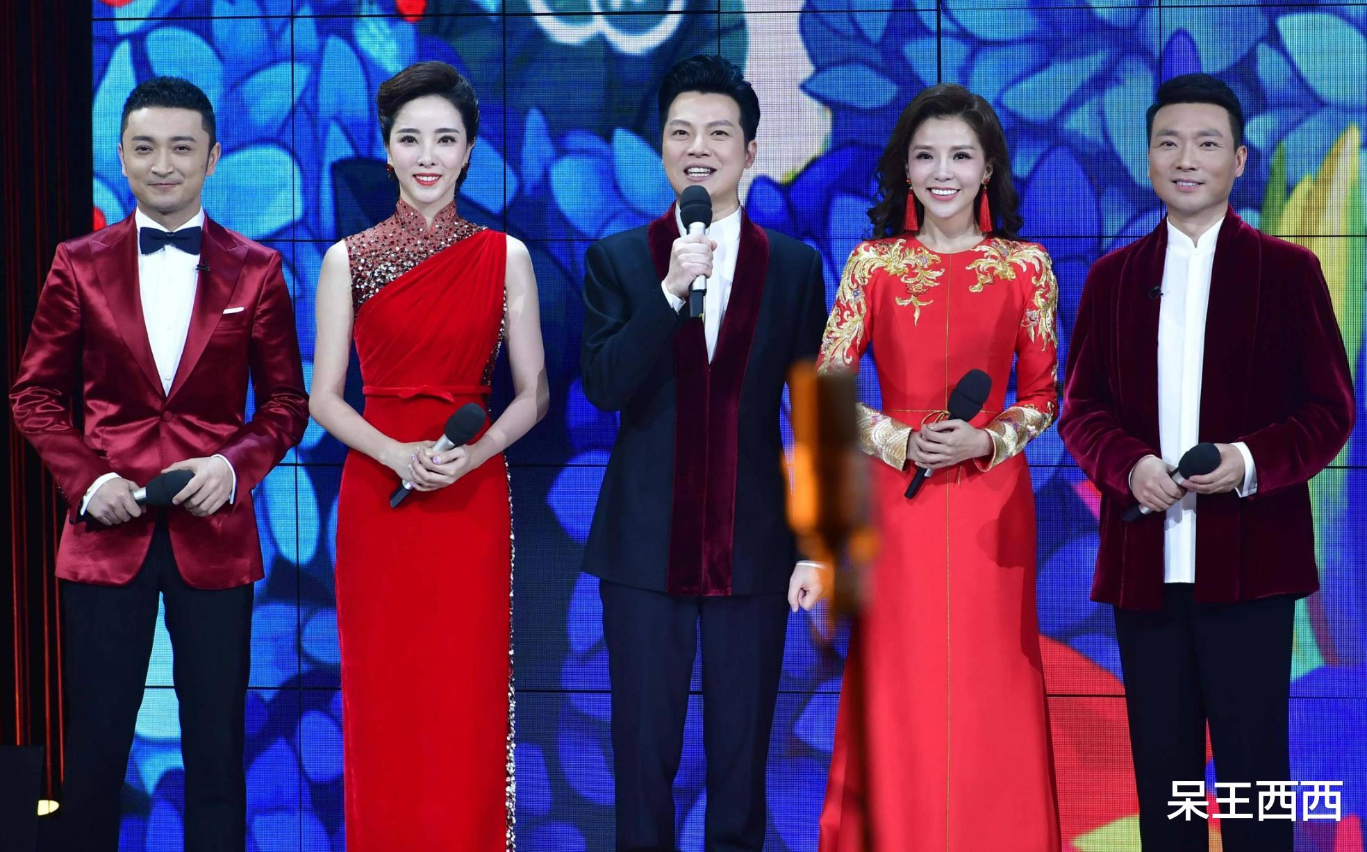 杨帆|央视中生代主持人杨帆为何登不上春晚？