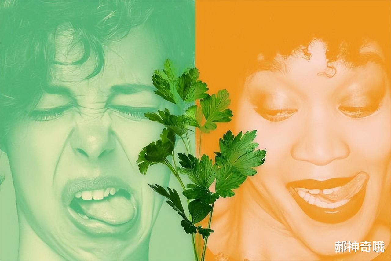 洋葱|中国“最难吃”的6种蔬菜,吃过一半是牛人,全吃过是大神