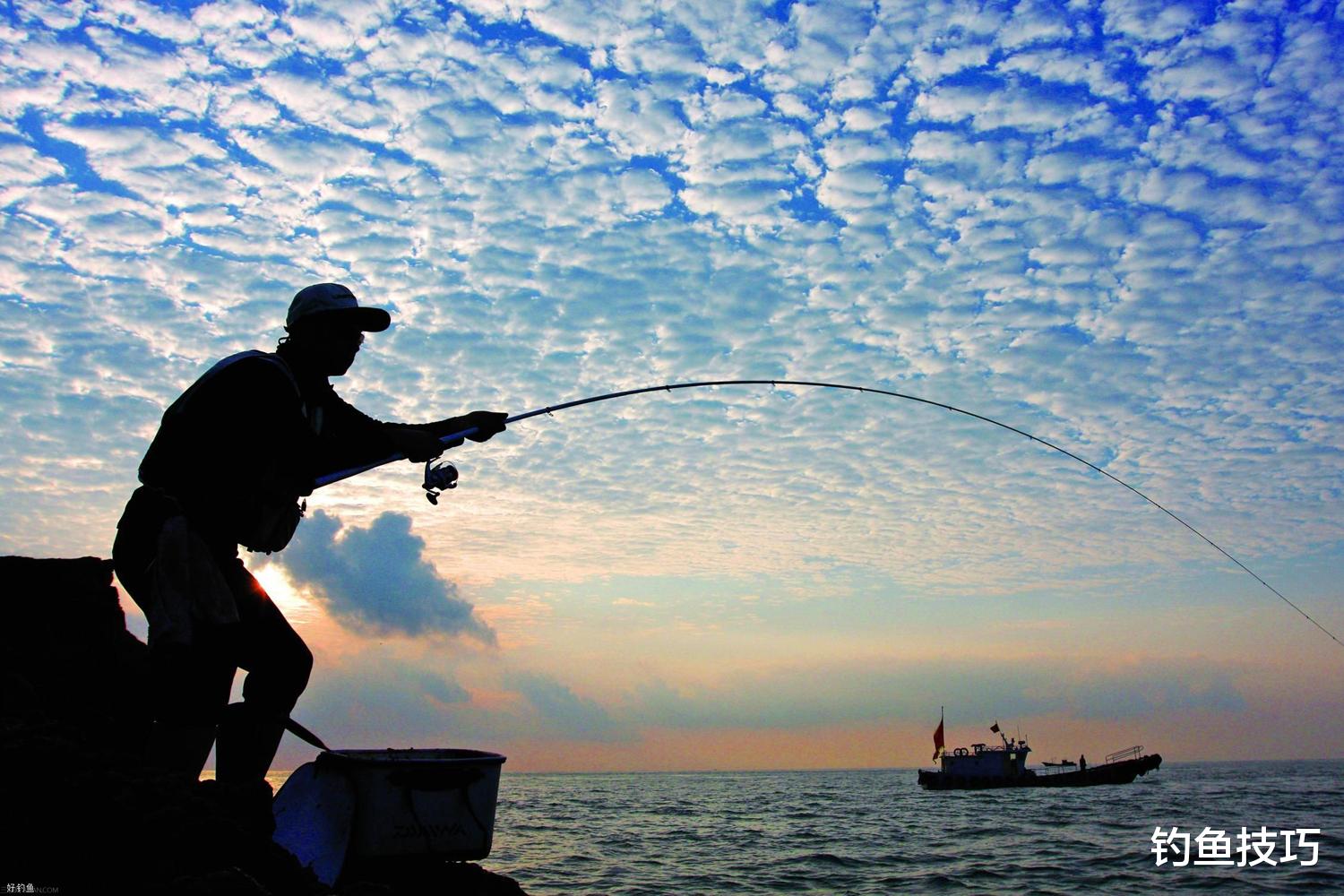 海钓|海钓如何选鱼饵?海钓好鱼饵的4个典型特征