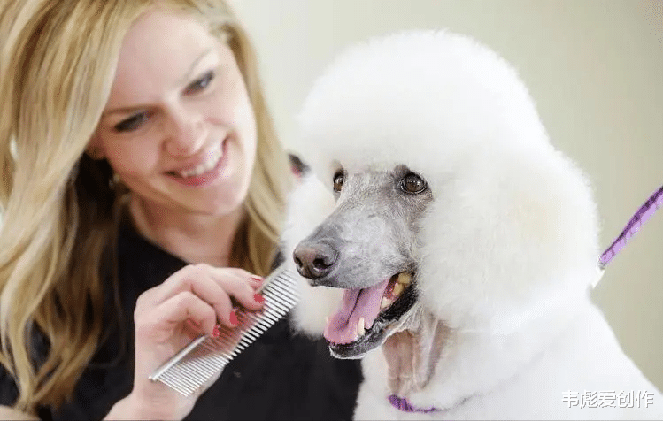 2024年，若开公司做什么行业更容易赚钱呢？