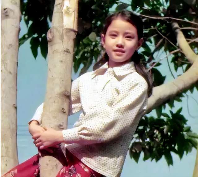 不婚不育无子女的周海媚,如果真的去世,亿万家产谁继承?