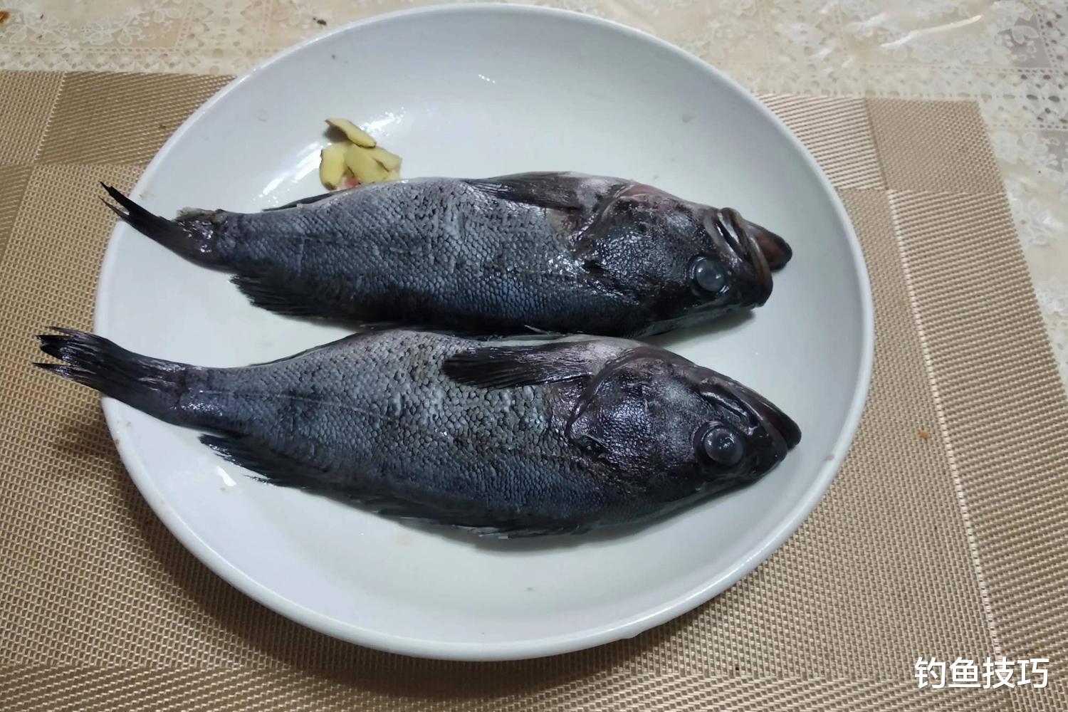 黑头鱼怎样钓？黑头鱼的生活习性和垂钓方法