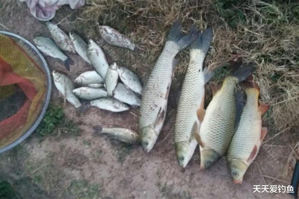 |夏季野钓,2类钓位人比鱼多,遇上了赶紧抢