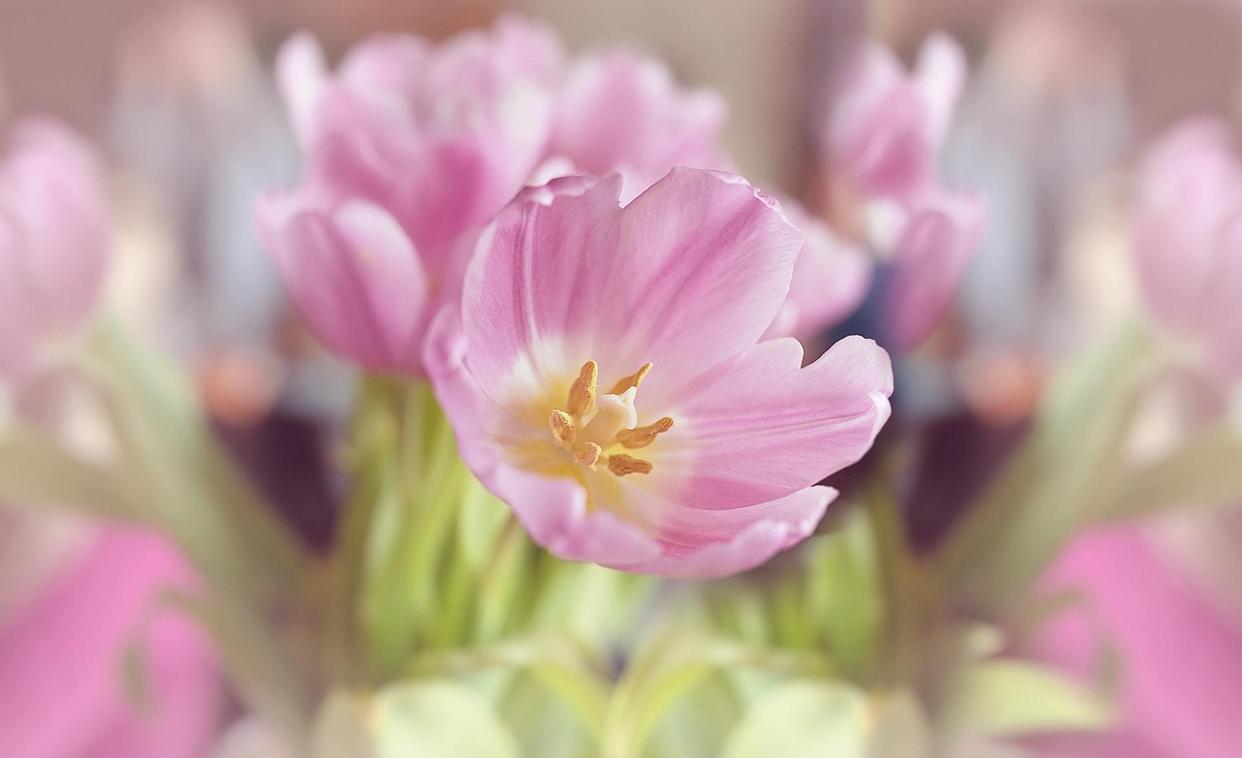 |职场中,有的人对你再好,也要小心提防