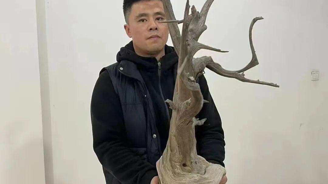 桃花|一条假崖柏手串引起的争议有多大呢？