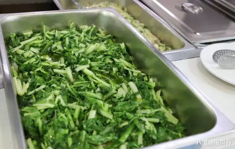 求职|别羡慕机关食堂，我在这里吃出了深深的自卑感