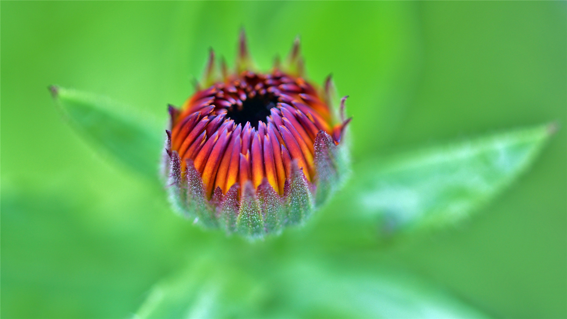 运势|2023年哪些生肖迎来运势爆发，士气激昂，职场起飞，升官发大财