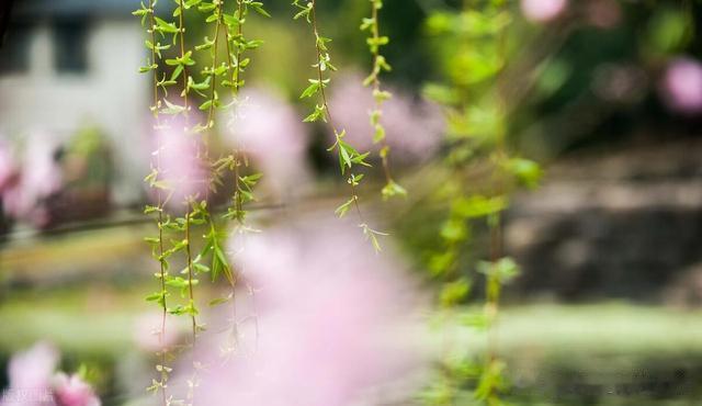 如何才能降低精关阈值呢？