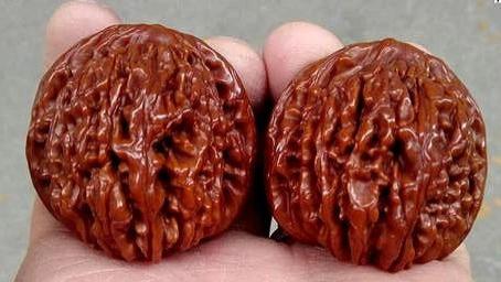 如何把玩出一对晶莹剔透的文玩核桃？