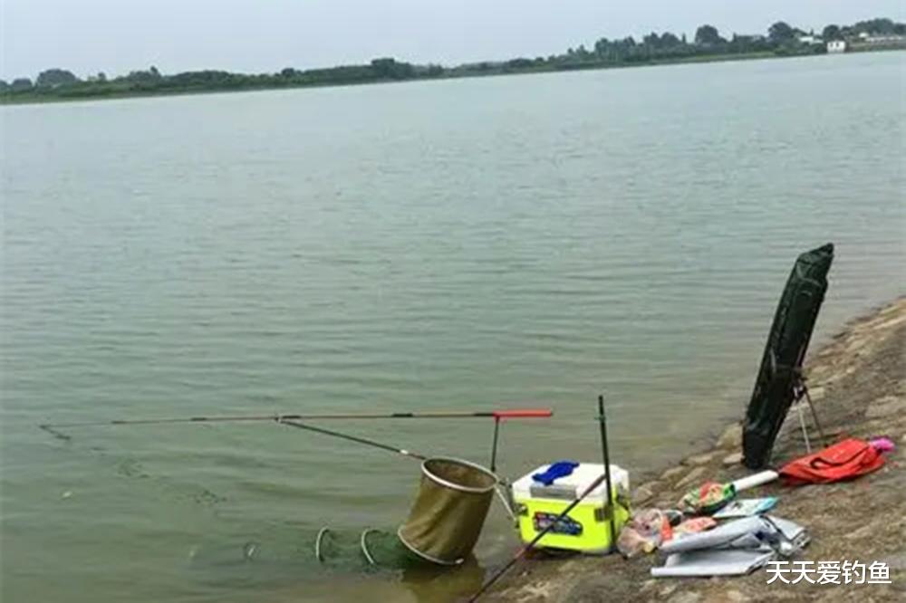 鲢鳙|浮钓鲢鳙攻略,学会这些秘诀,鲢鳙比白条还要好钓