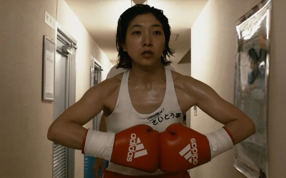 贾玲的瓜，有点大...