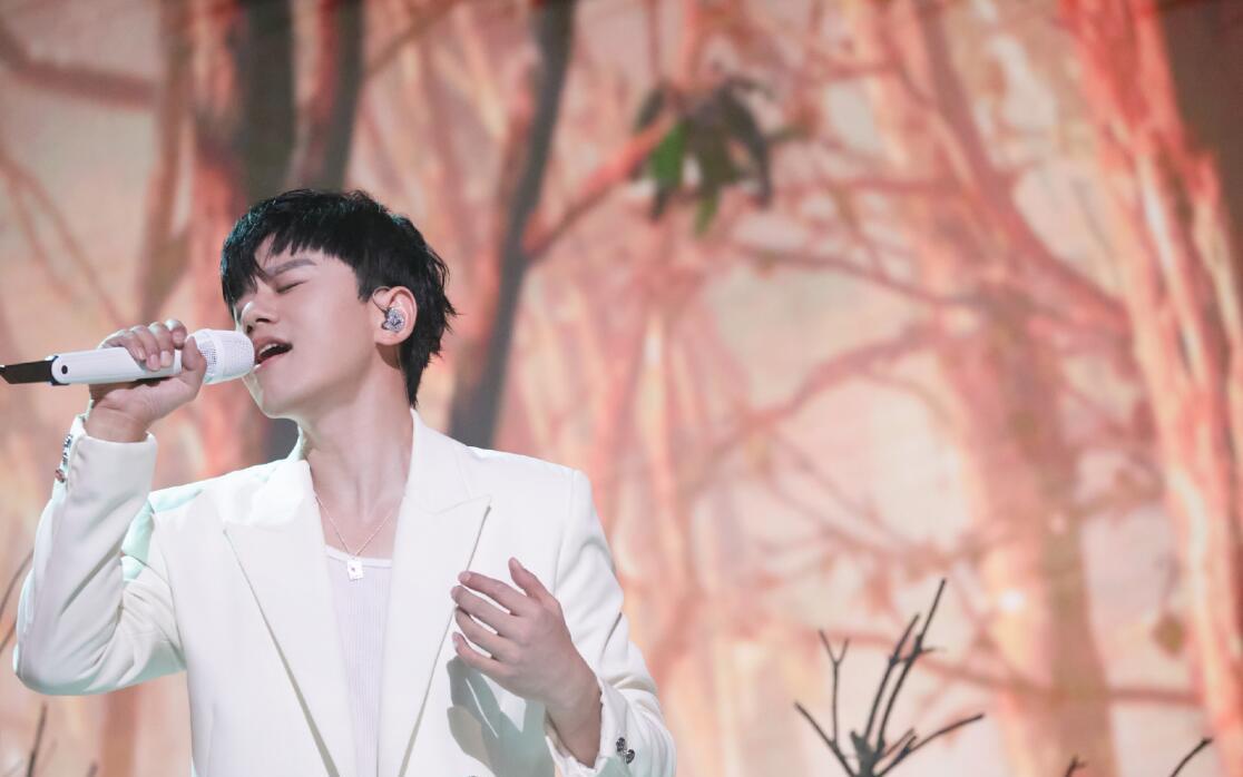 魏如萱|《声生不息》播出过半,4人成大赢家