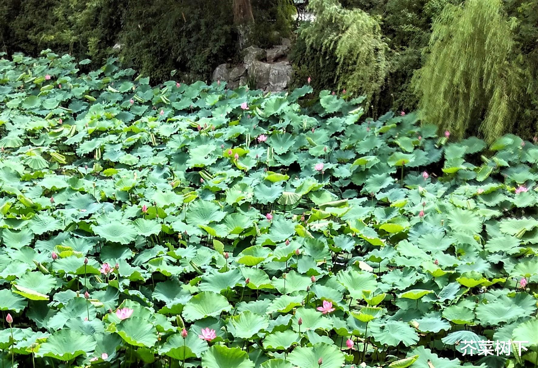 |同事之间，需要空间