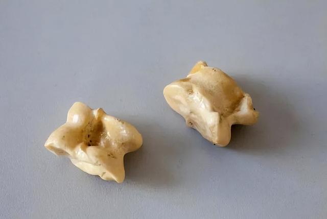 这8种“重口味文玩”,敢玩的都是大神,一般人真的接受不了