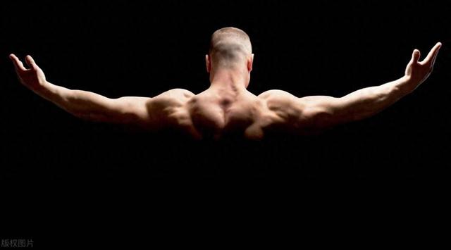 如何塑造男人的倒三角身材？5个要点，附：一组训练动图