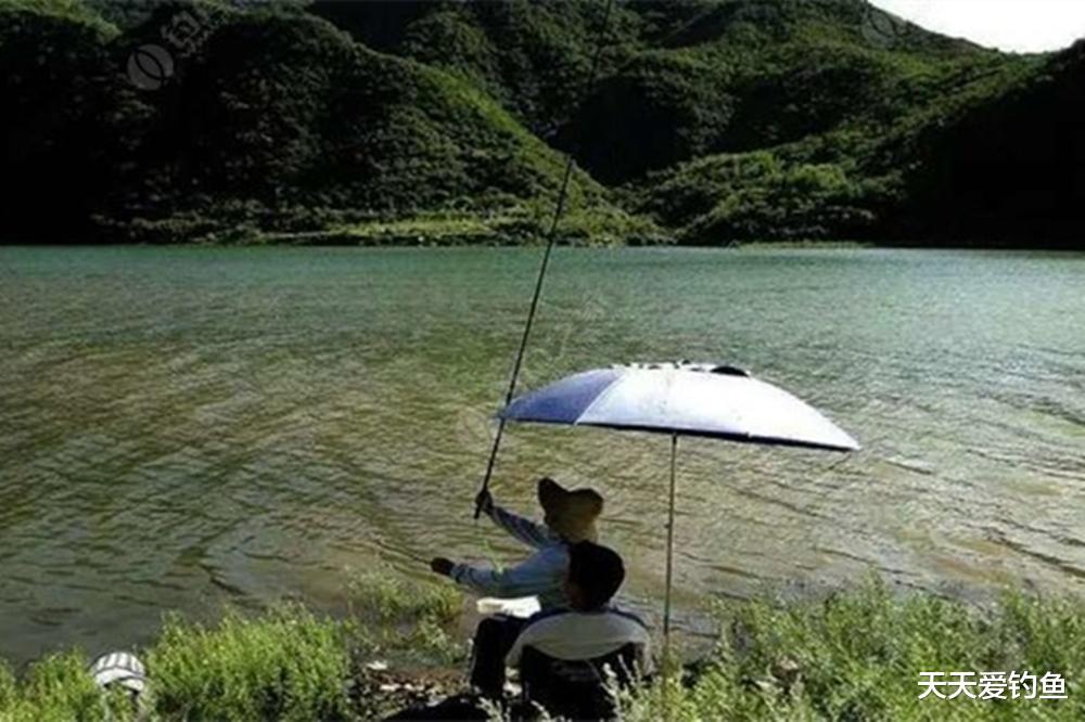 |夏季高温鱼难钓，这2种天气才是“爆护天”，出钓一次顶十次