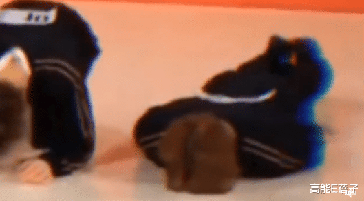 王嘉尔|又双叒叕破防了?王嘉尔伦敦演唱会发表爱国言论,却激怒韩国网友