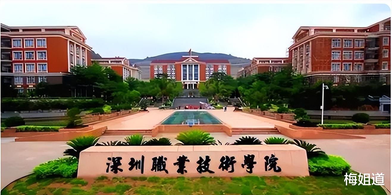 专升本|升本还是就业？深职院学生的困境，敢叫板211却不知今后出路