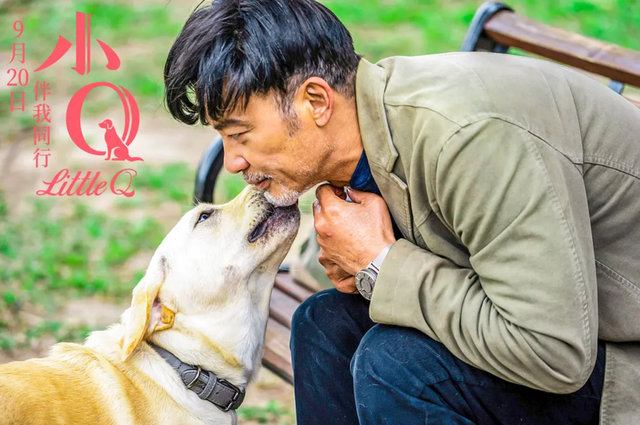 |12部大片萌力爆表!1月13日1905APP佳作连播