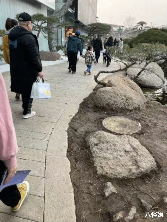 董子健|董子健带女儿看展,给大福穿衣服好宠溺,网友直呼好感度大增