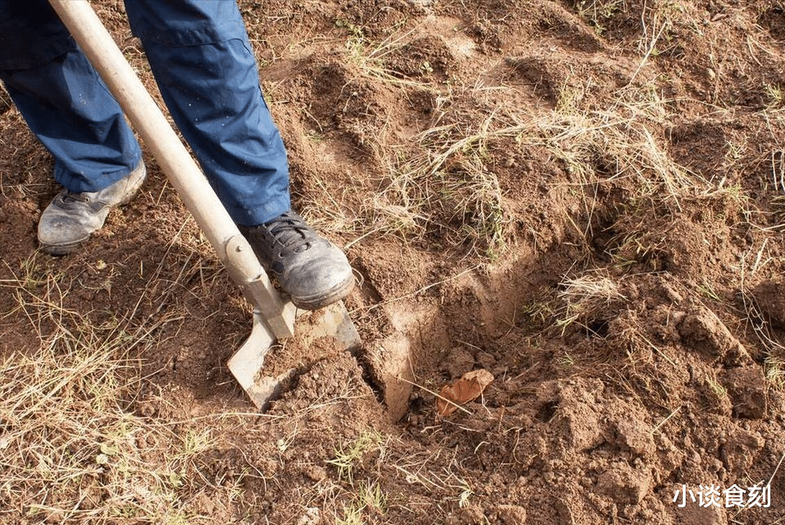 霜降|“霜降三不空，日子不变穷”，今日霜降，3不空指啥，有啥讲究？