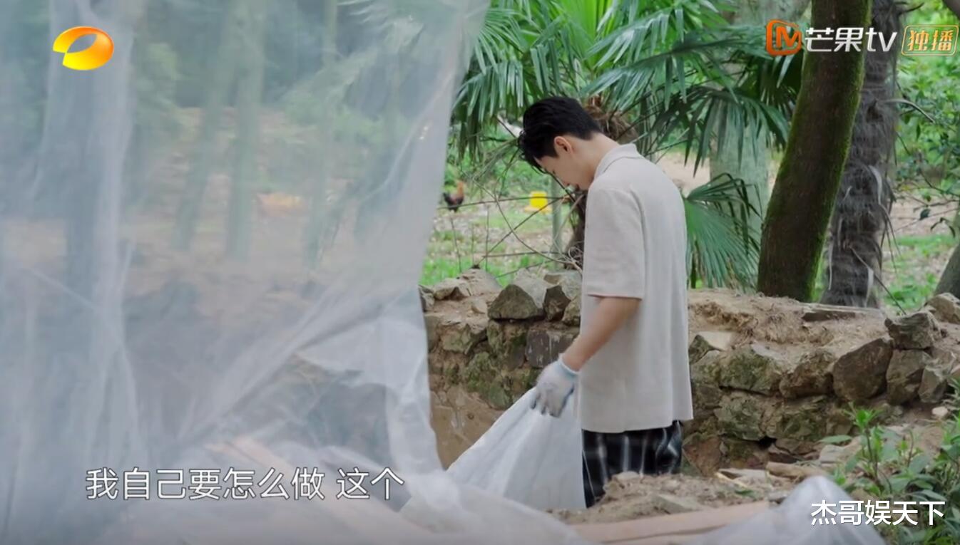 黄磊|大华回归！可惜已经变味儿了