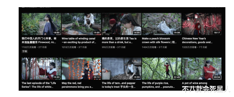 李子柒停更两年后露面,模样大变认不出,她成了资本的“牺牲品”