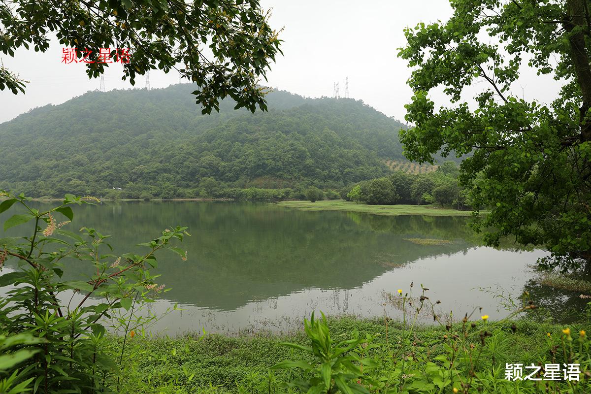 宁波|龙鹫登山步道,适合为了健身而走路
