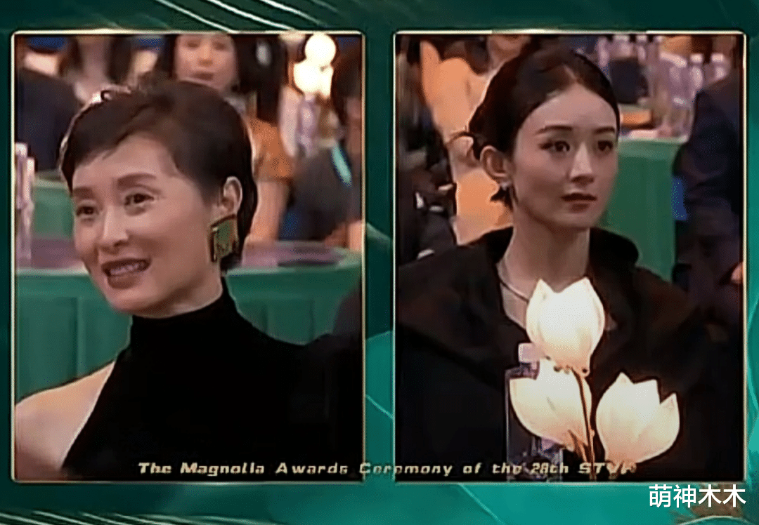 赵丽颖客串张艺谋新片遭嘲讽,被曝番位在高叶之后,再次饰演母亲