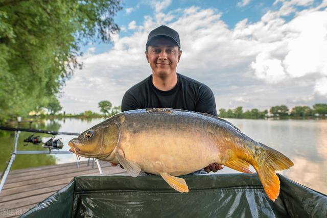 |新手钓鱼人如何选购探鱼器