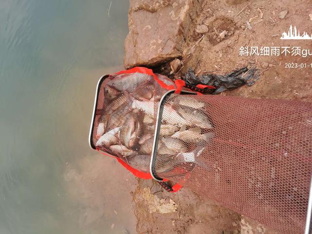 |意外中的意外,耐心作钓终爆护!